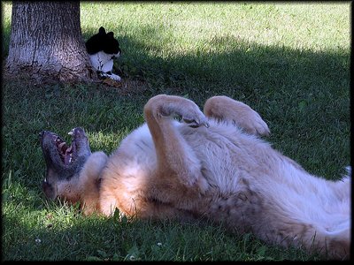 Sunday Afternoon in the Shade