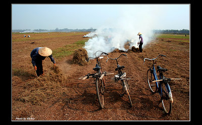 Grass burning