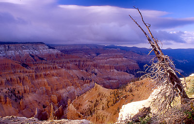 Cedar Breaks 1