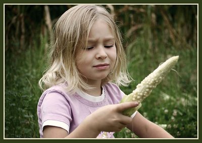 Crazy Corn!