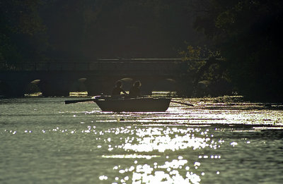 Boat Trip