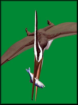 Pteranodon