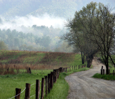 Cades Cove Road