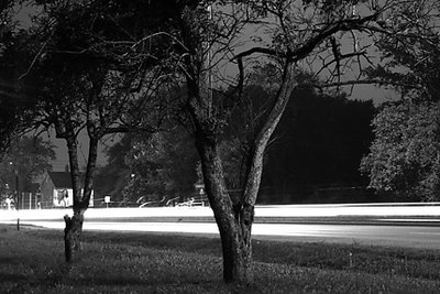 Trees and Traffic