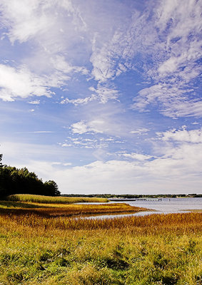 Late summer 