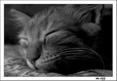 deep sleep