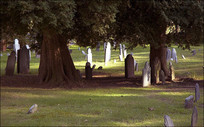 elegy in a country churchyard