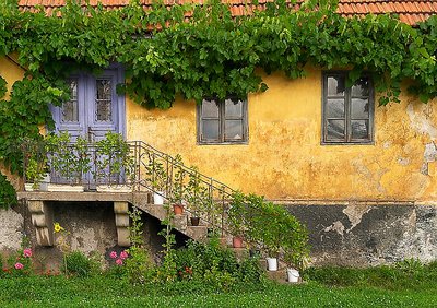 Pink door