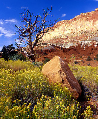 Summer in Utah