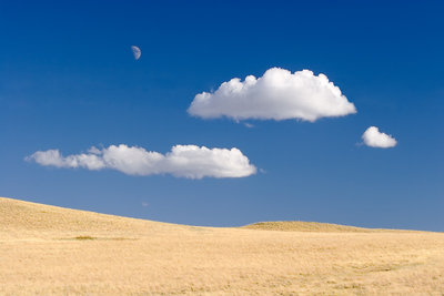 Montana Skyline