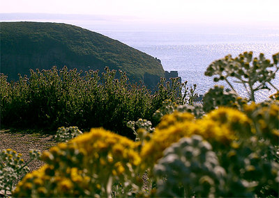 Normandie before sunset