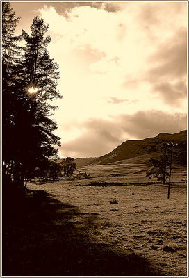 Cottage in the Hills