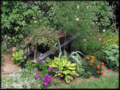 Wheel Barrow Garden