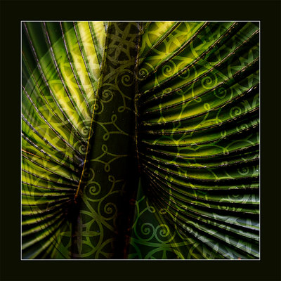 Palmetto w Pattern