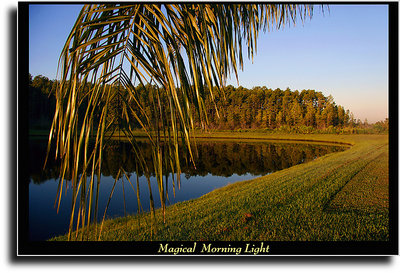 Magical Morning Light