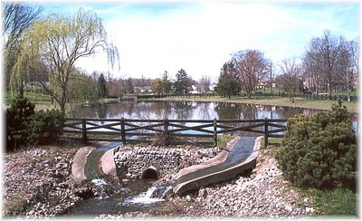 Country Pond