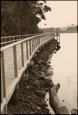 Bridge On The Lake