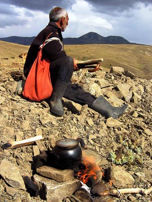Tea with shepherd