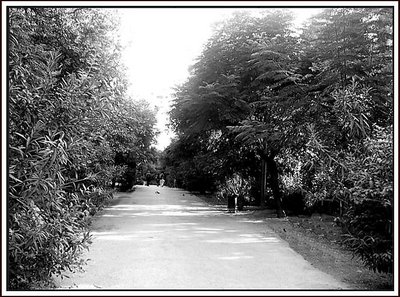 at the park..in b/w