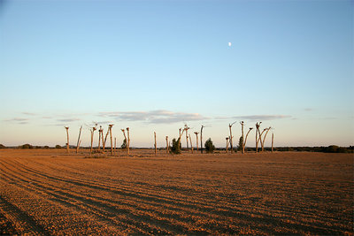 Alentejo....