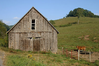 Pasture