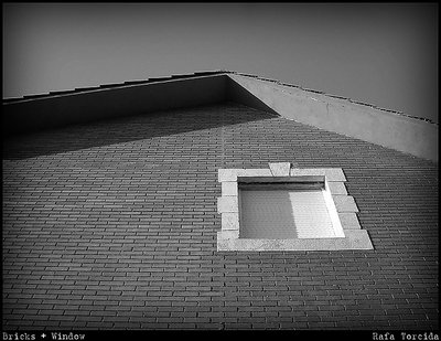 Bricks + Window