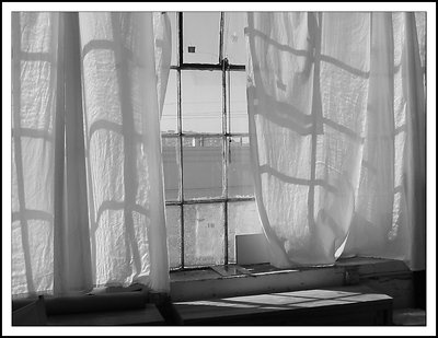 Window light