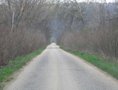 Rajac s road