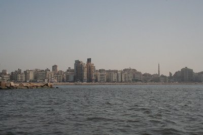 View From Alexandria