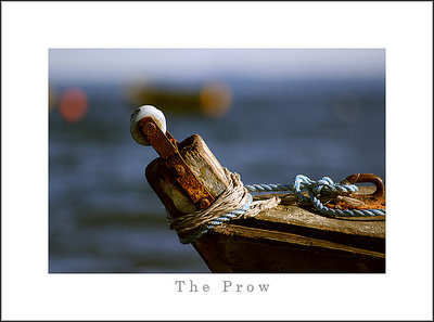 "The Prow"