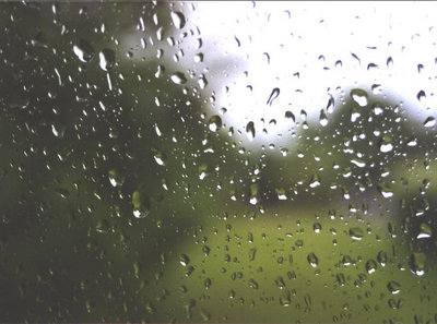 Rain Drops On A Window