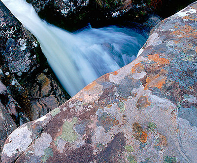 Lichen & Waterfall
