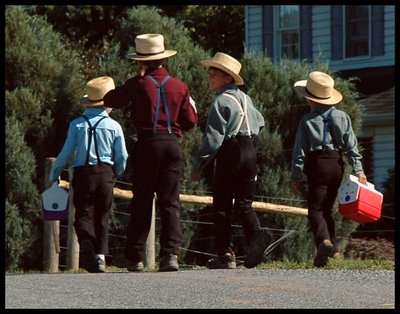 Amish Country VI