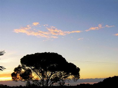 Dragon Cloud