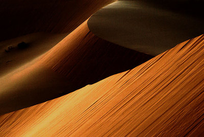 Harmony of dunes