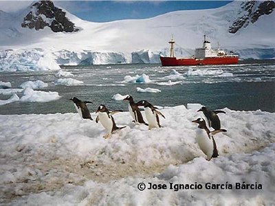 Amazing Antartica.