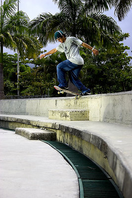 Pulga - Switch backtail 2