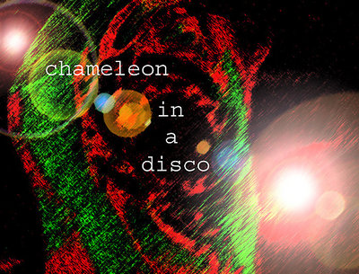 Chameleon in a disco