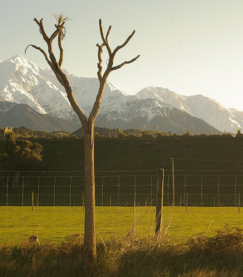 kaikoura landward