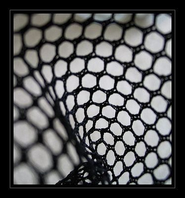 Tennis-net