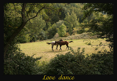 Love dance