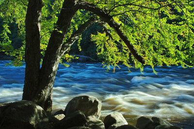 Silky waters