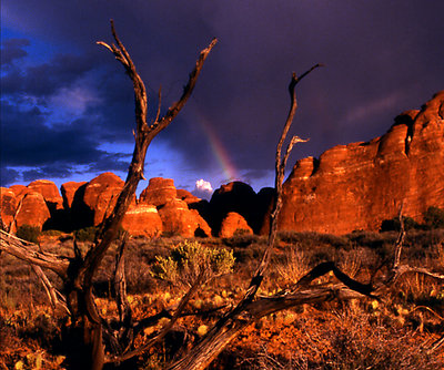 rainbow in the desert