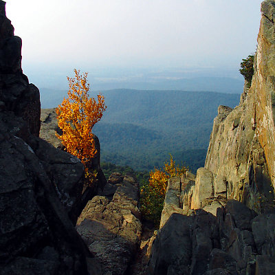 Fall's coming to VA