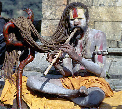 Sadhu