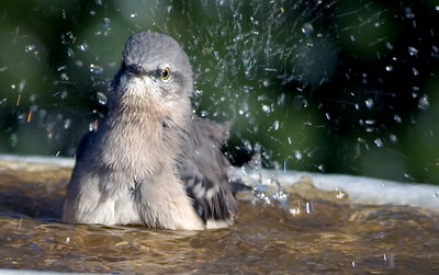 C'mon in, the water's great!