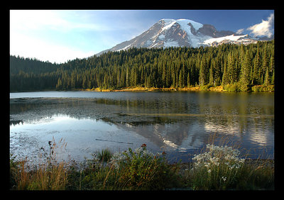 Rainier Reflection