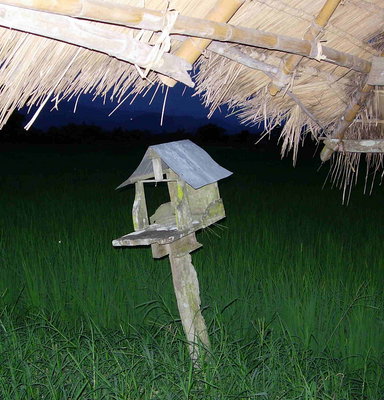 Spirit House at Dusk