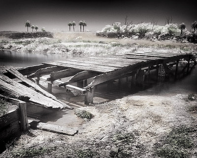 Bolsa Chica Wet Lands Bridge IR