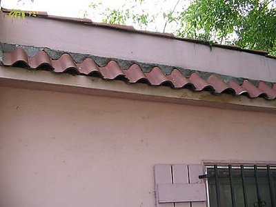 Ripple Roof